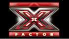 X-Factor, VOX, Pilot 2010